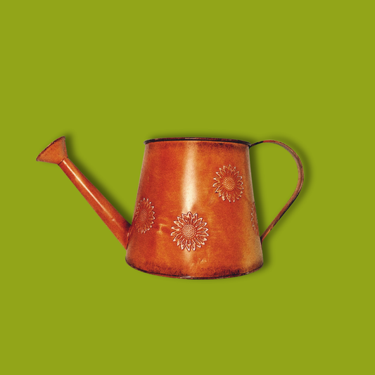 Galvanized Rustic Sunshine Watering Can