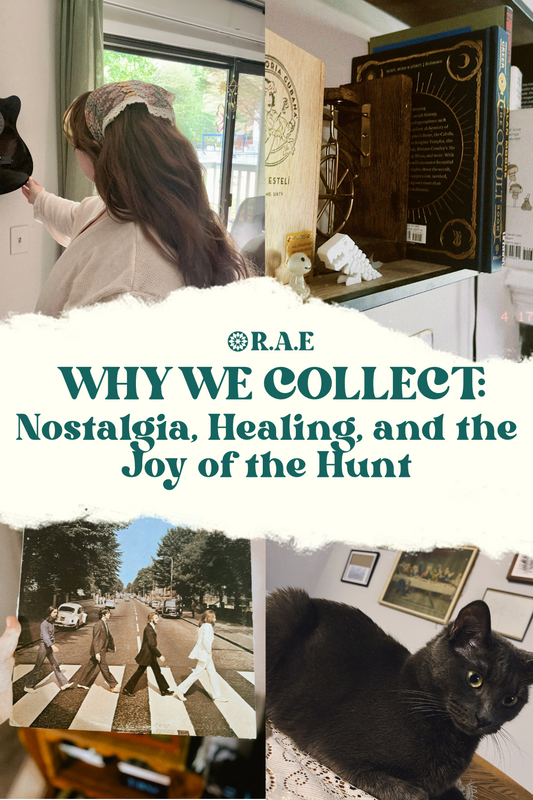 Why We Collect: Nostalgia, Healing, and the Joy of the Hunt