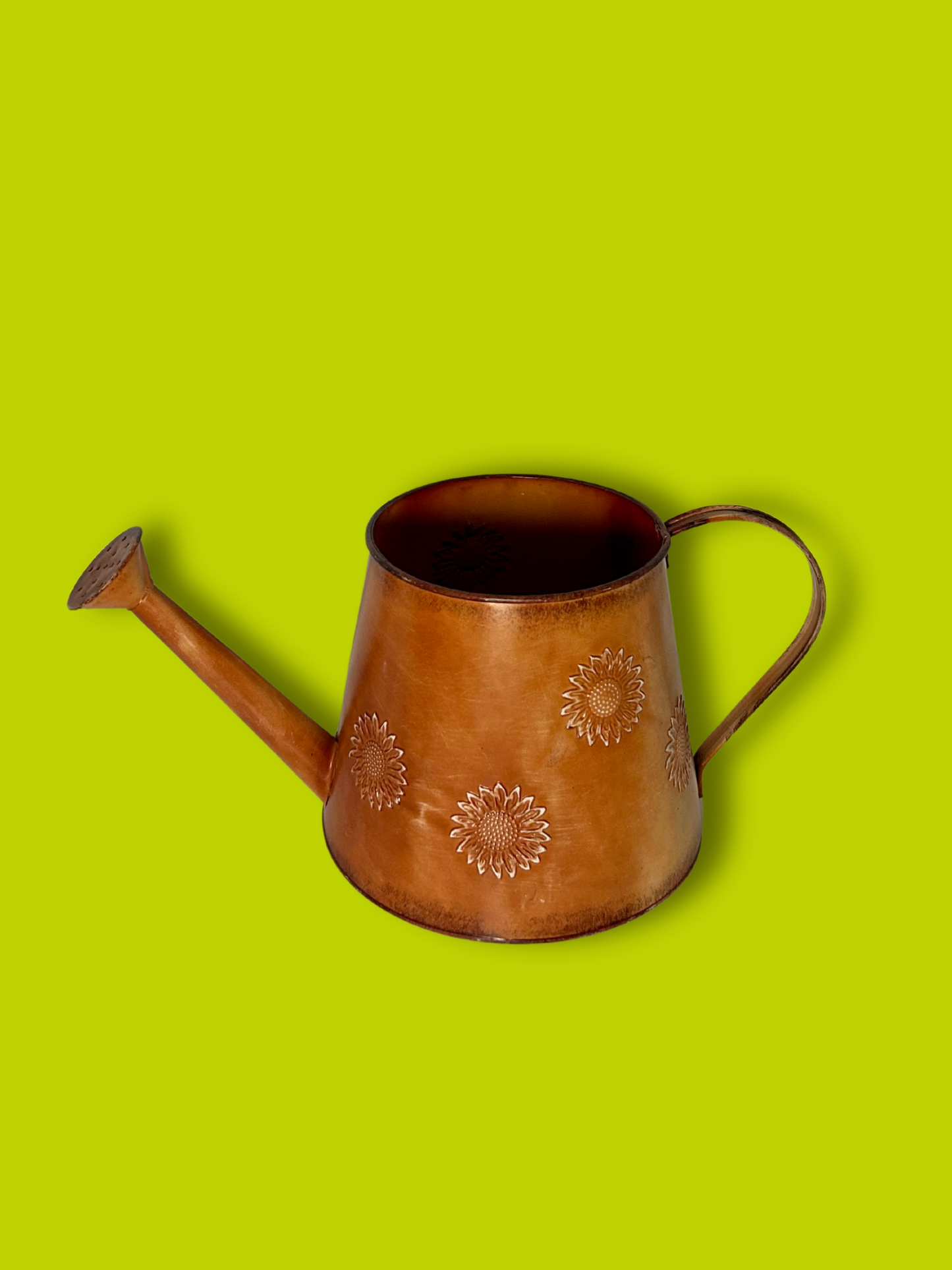 Galvanized Rustic Sunshine Watering Can