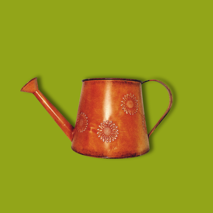 Galvanized Rustic Sunshine Watering Can