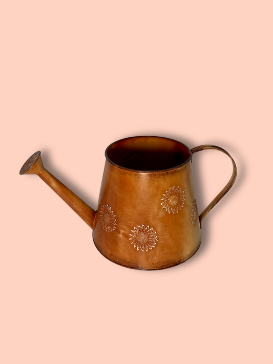 Galvanized Rustic Sunshine Watering Can