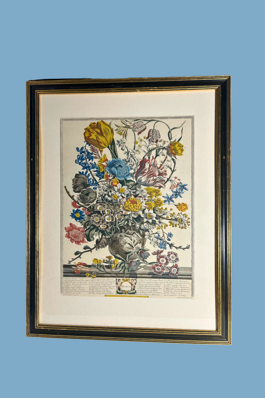 Framed botanical illustration of flowers on a blue background