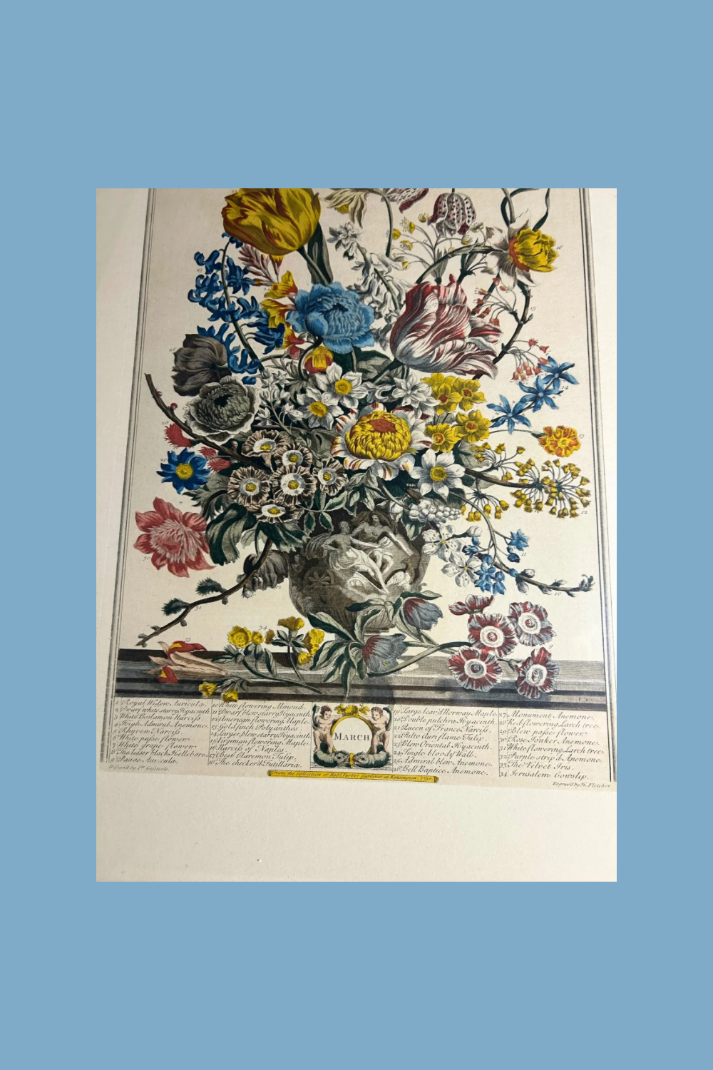 Decorative print of a floral arrangement with a blue background
