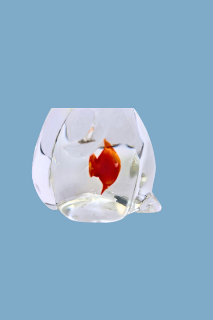Glass bowl with a goldfish on a light blue background